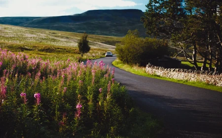 Car driving along a winding country road